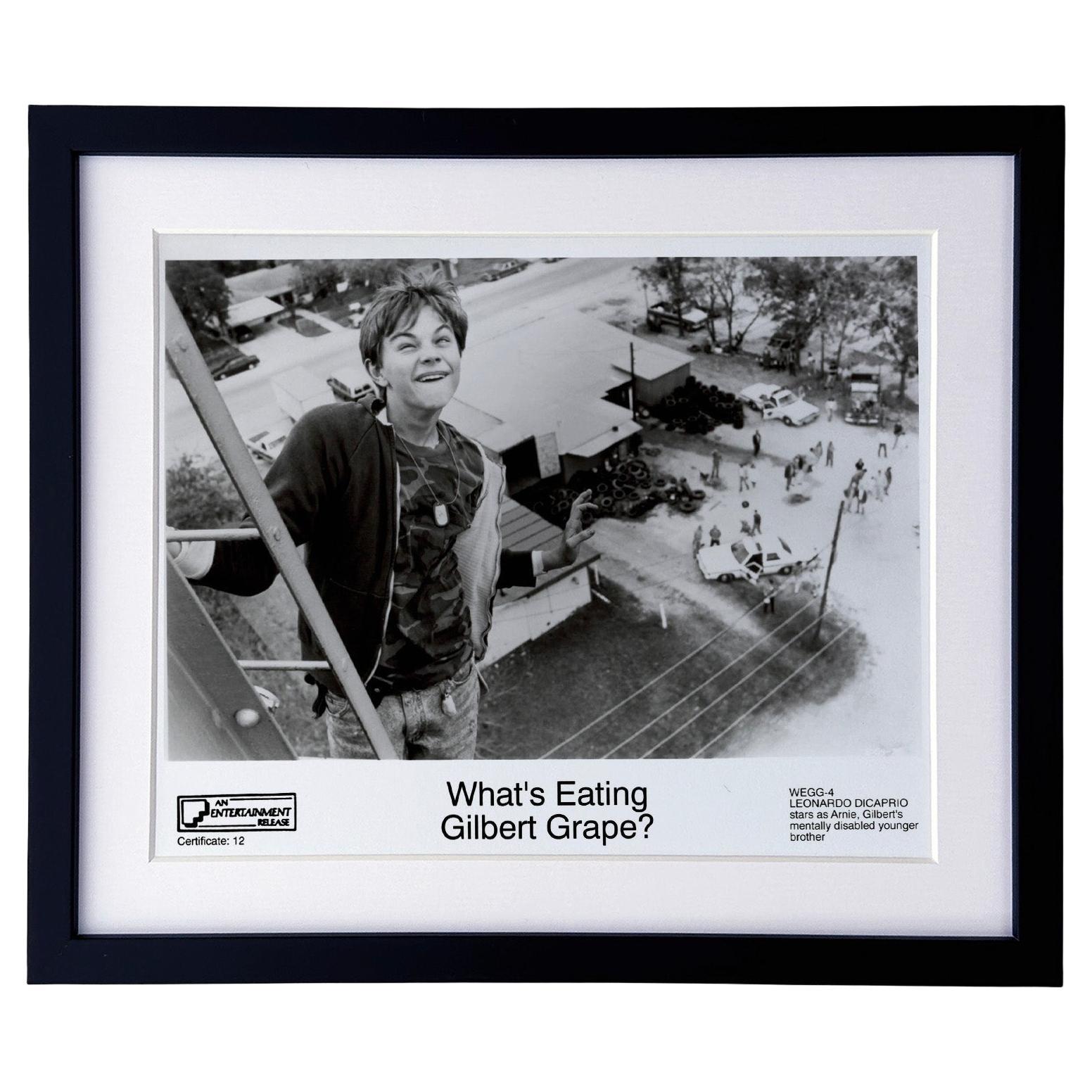 What's Eating Gilbert Grape 1993 Publicity Film Movie Press Still Framed