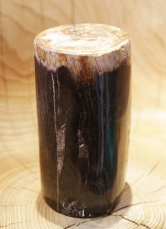 Small Petrified Wood D Column