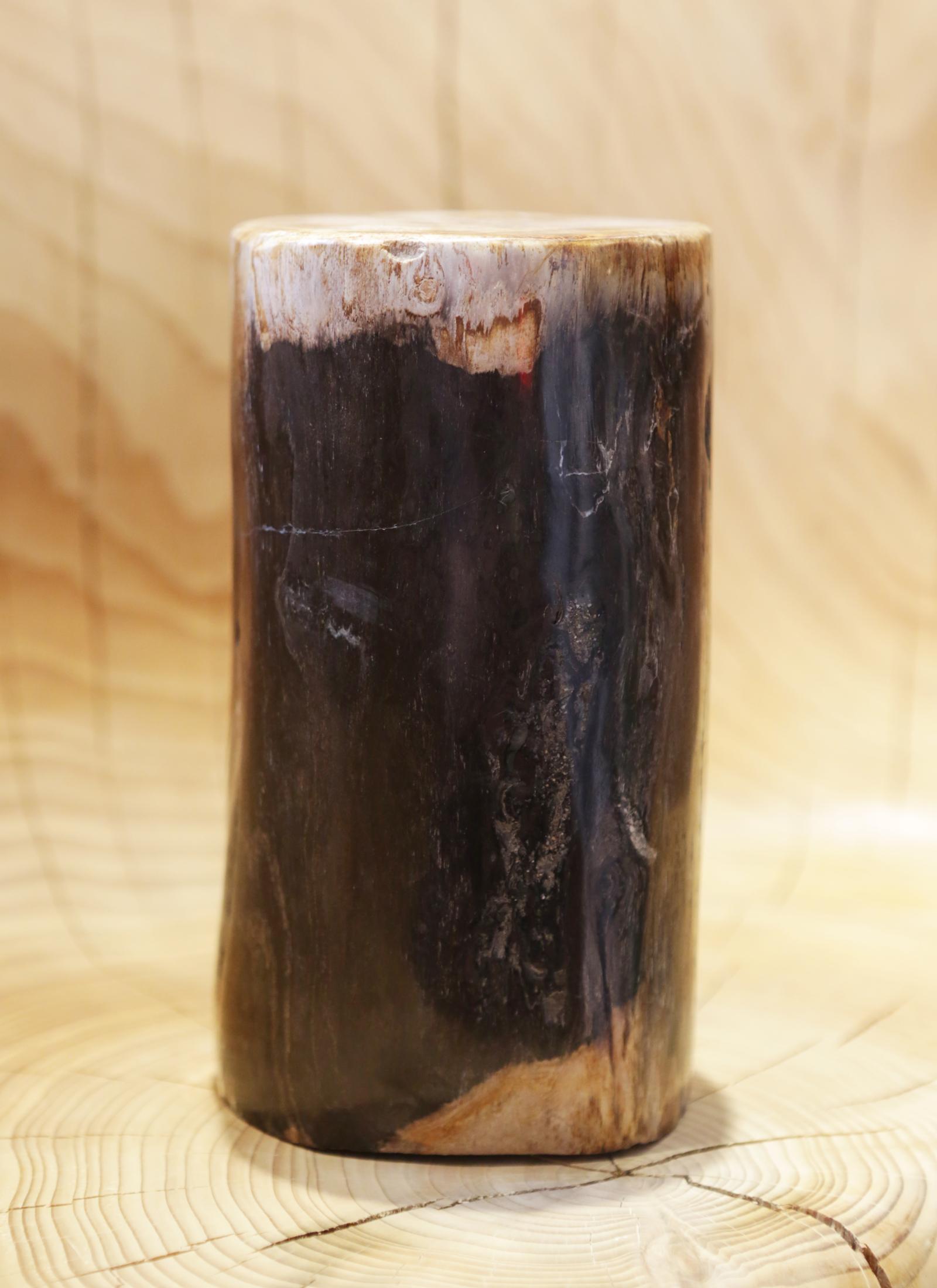 Indonesian Small Petrified Wood D Column For Sale