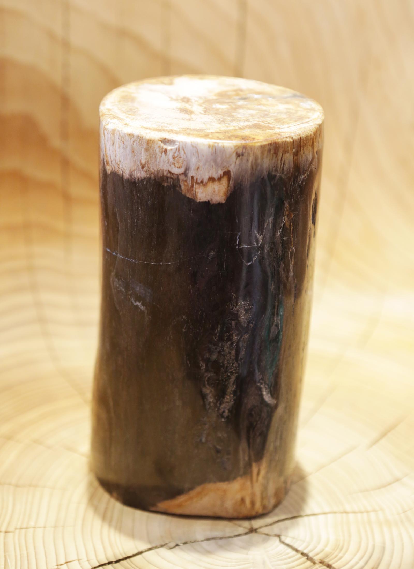 Hand-Crafted Small Petrified Wood D Column For Sale