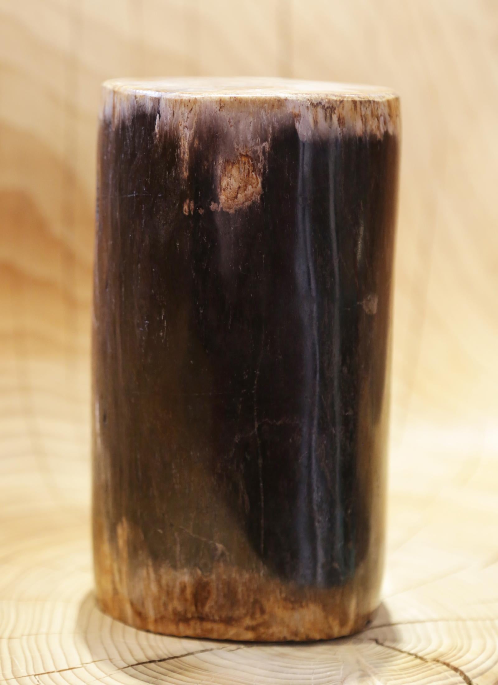 Small Petrified Wood D Column For Sale 1
