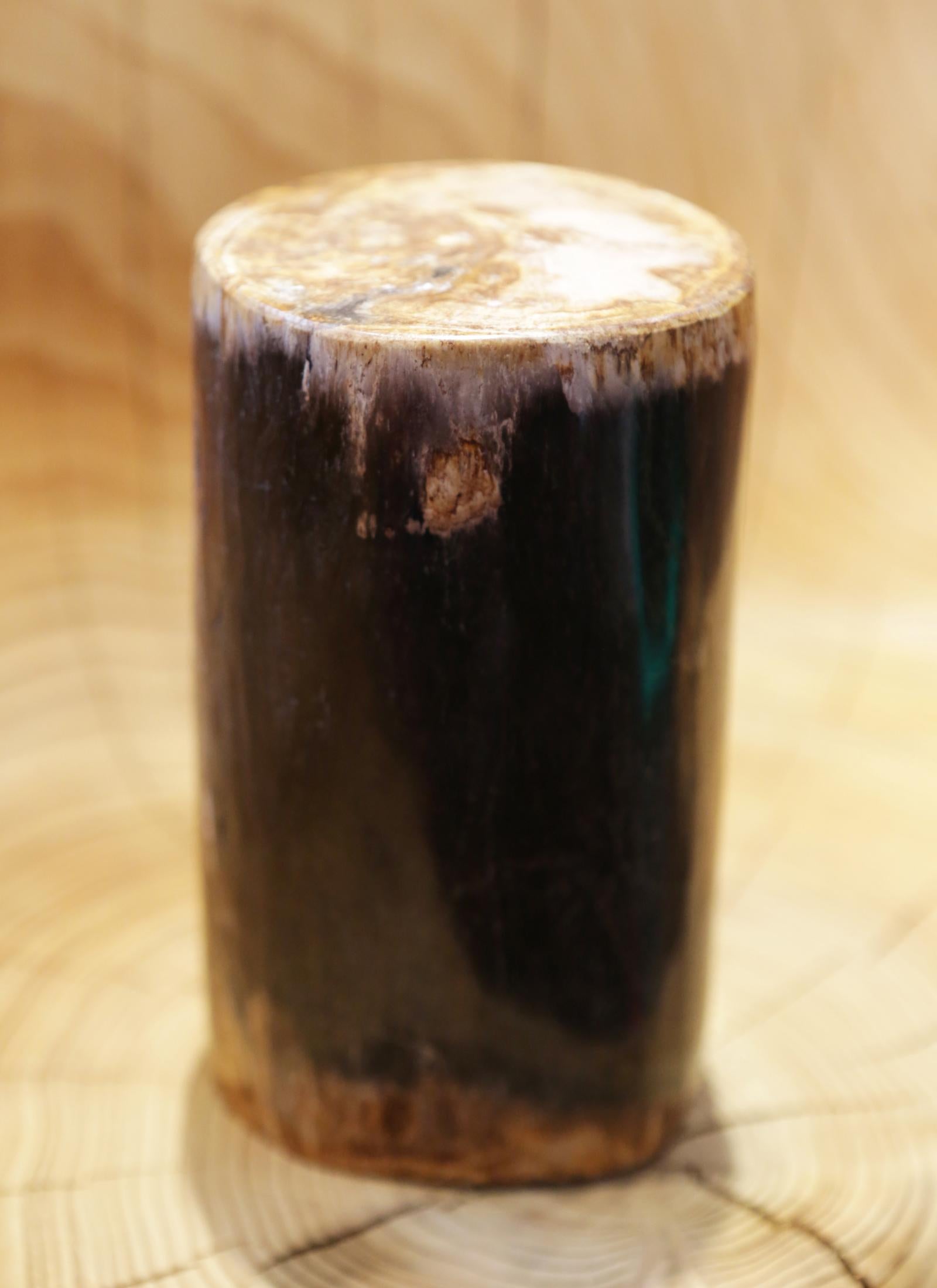 Small Petrified Wood D Column For Sale 2