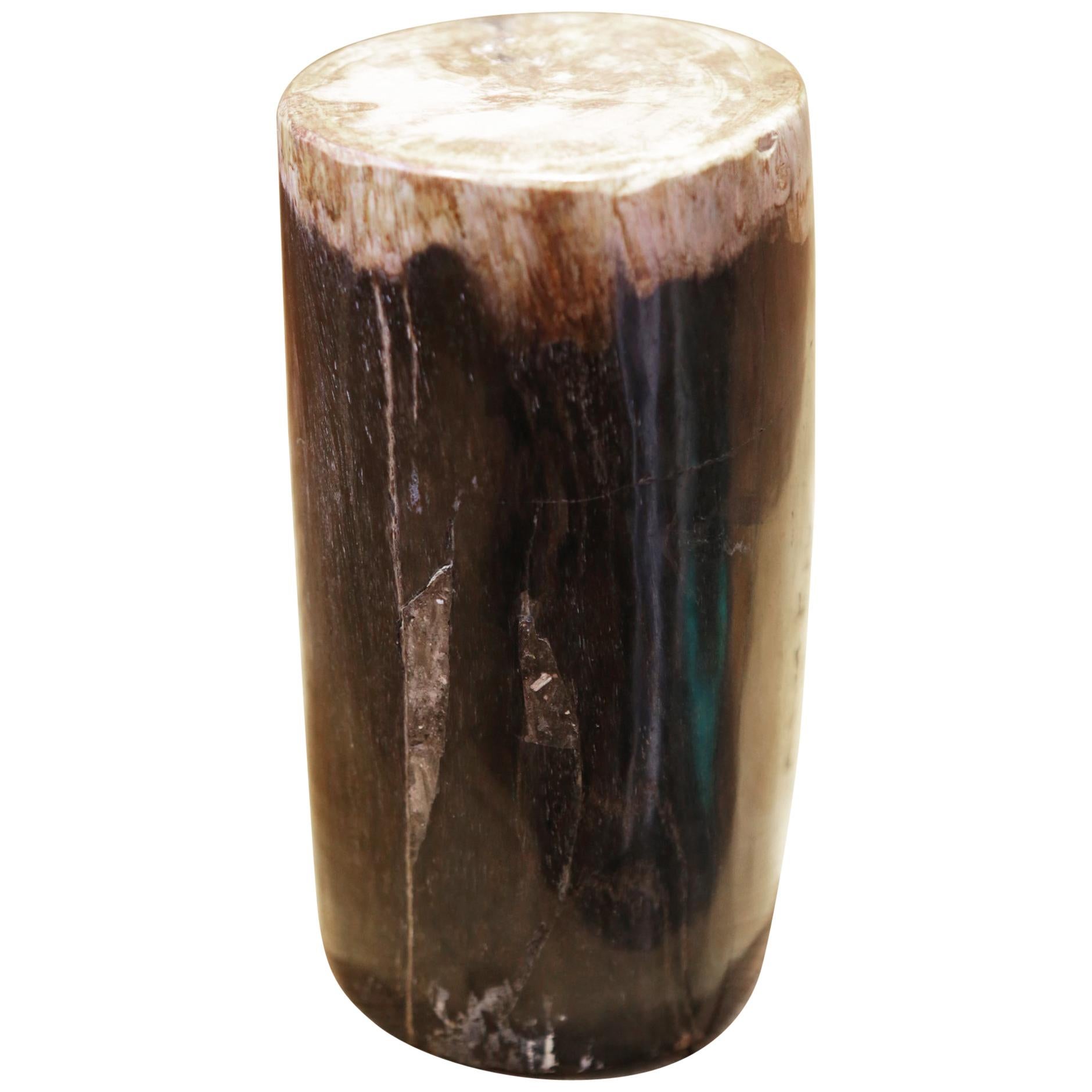 Small Petrified Wood D Column For Sale
