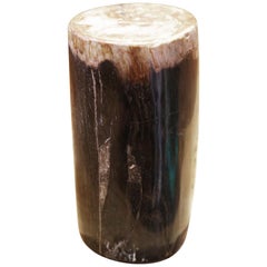 Small Petrified Wood D Column