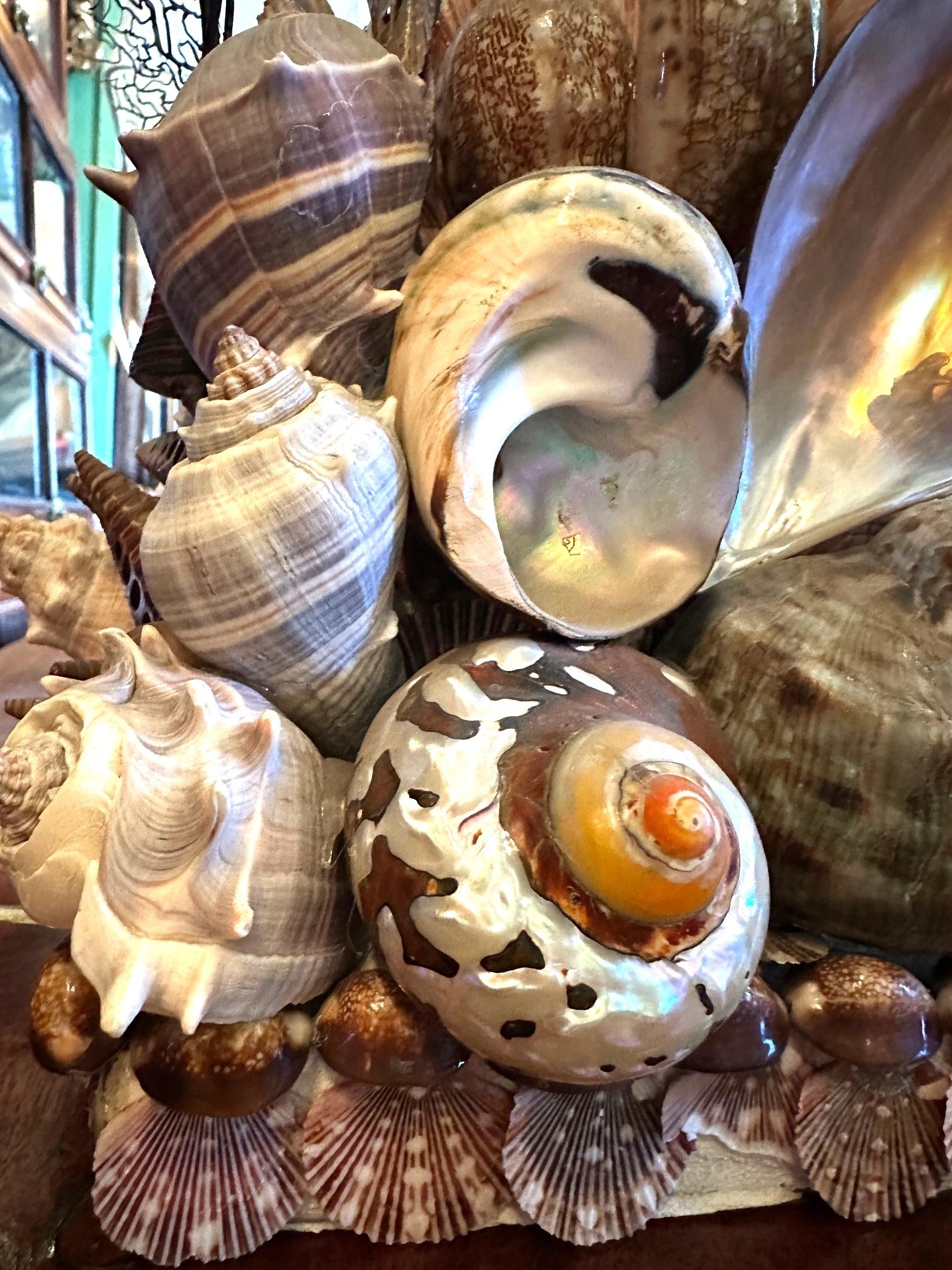 Whimsical Pair Of Marine Themed Coral Shell Seaweed And Rock Crystal Table Lamps For Sale 5
