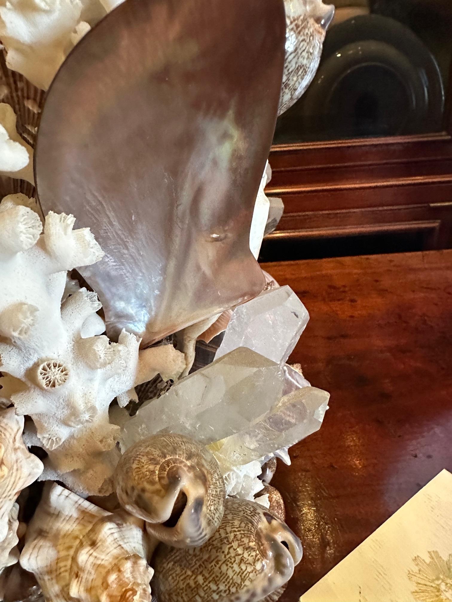 Whimsical Pair Of Marine Themed Coral Shell Seaweed And Rock Crystal Table Lamps For Sale 6