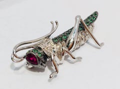 Whimsical Tsavorite Ruby Diamond 18 Karat White Gold Grasshopper Cricket Brooch