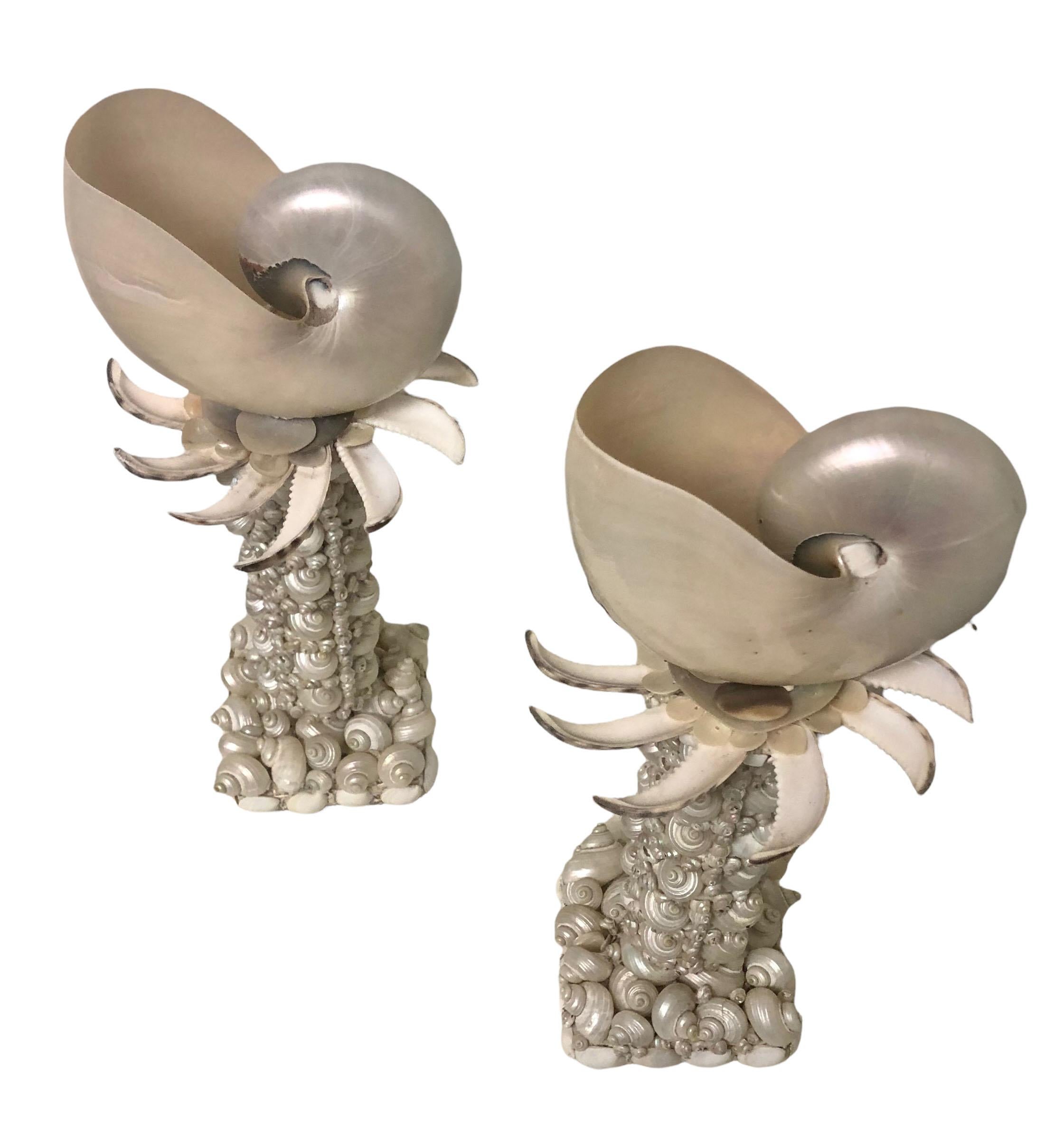 A pair of beautiful hand crafted Whimsy Nautilus topped seashell sculptures. Created by a local Tampa artist we carry exclusive in our shop. The base is 5