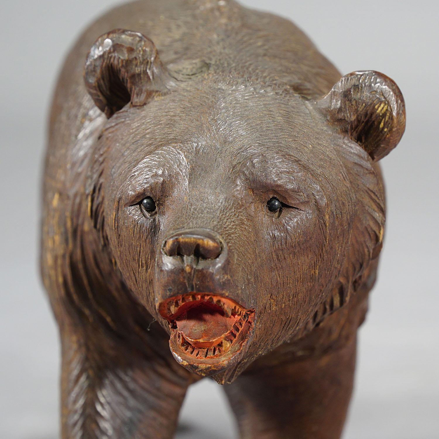Black Forest Whimsy Wooden Bear Carved in Brienz, circa 1920