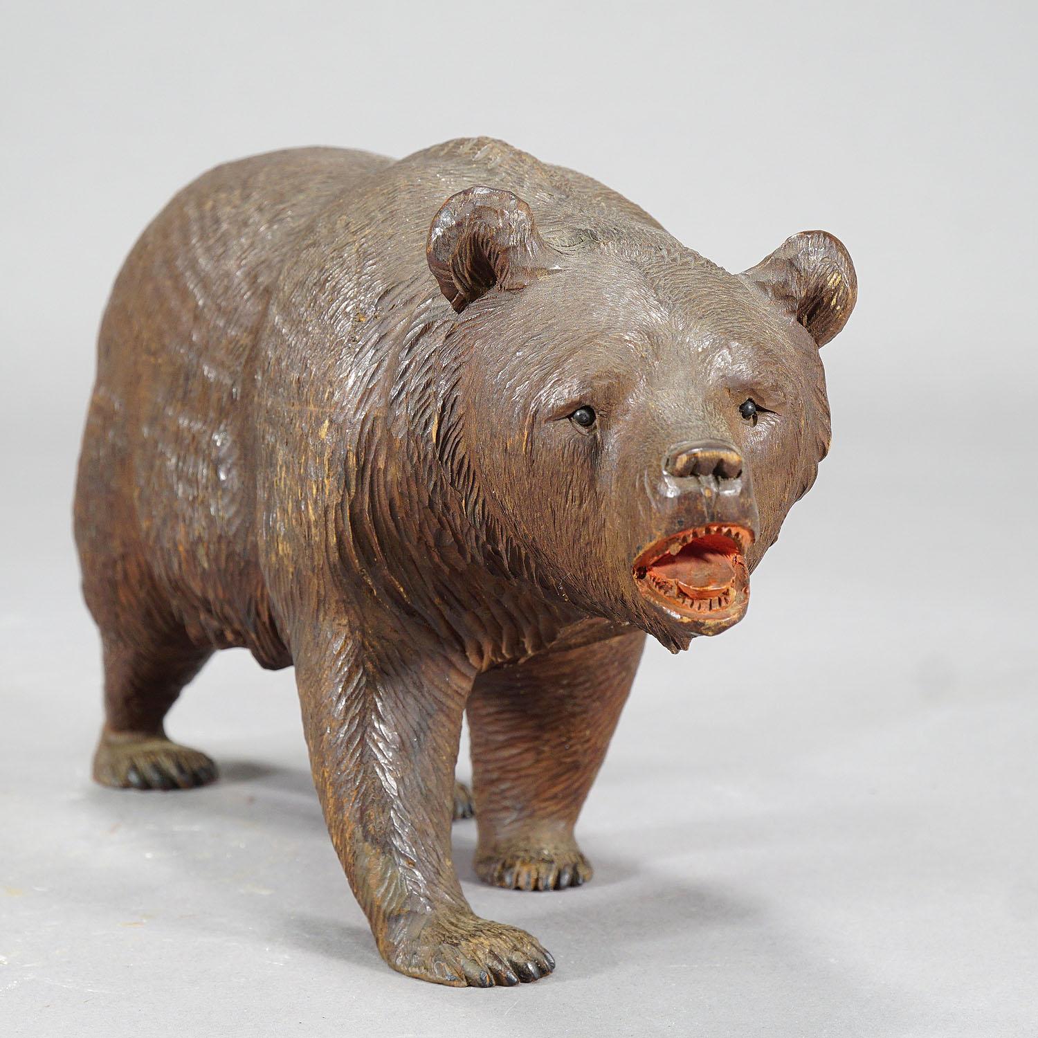 Swiss Whimsy Wooden Bear Carved in Brienz, circa 1920