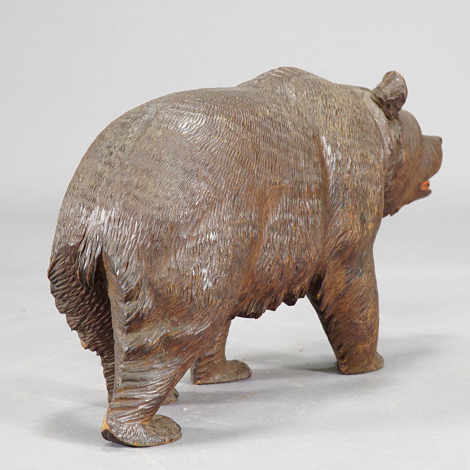 Whimsy Wooden Bear Carved in Brienz, circa 1920 1