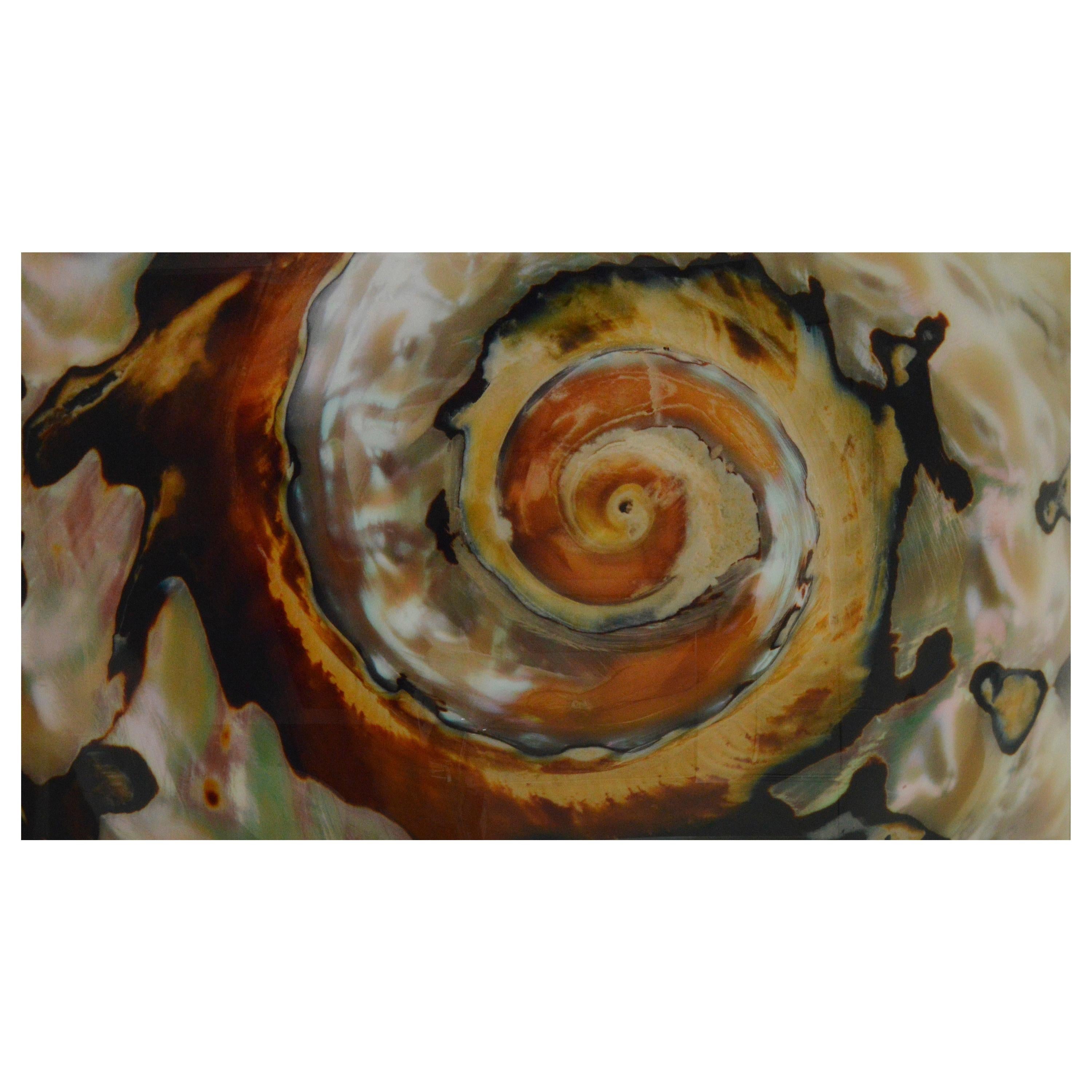 Whirlwind, Large Color Photograph Mounted on Plexiglass