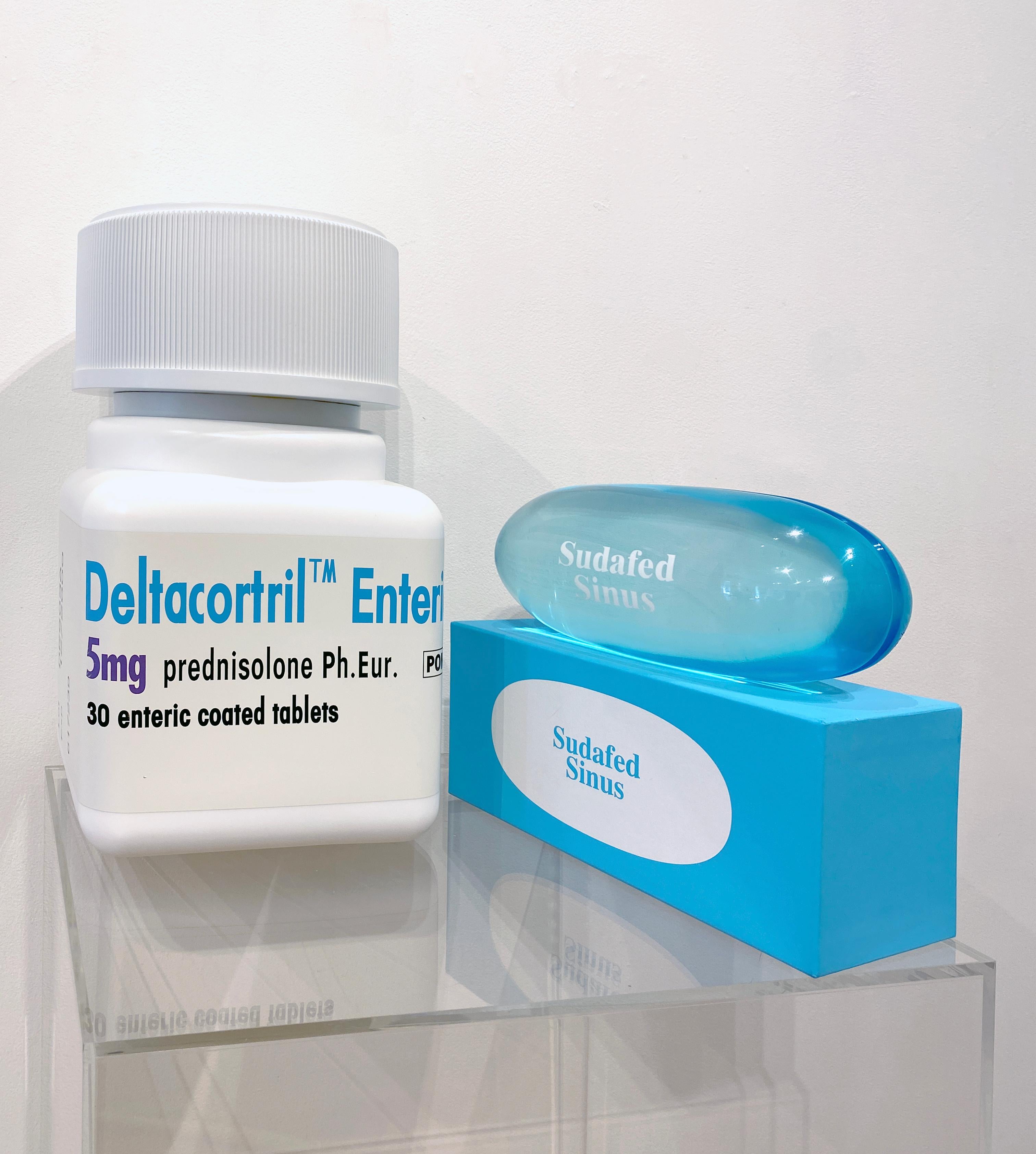 Artist:  Hirst, Damien
Title:  Deltacortril Enteric 5mg 30 enteric coated tablets 
Series:  Schizophrenogenesis
Date:  2014
Medium:  Polyurethane resin with pigment finished with 2K clear lacquer
Unframed Dimensions:  17.32