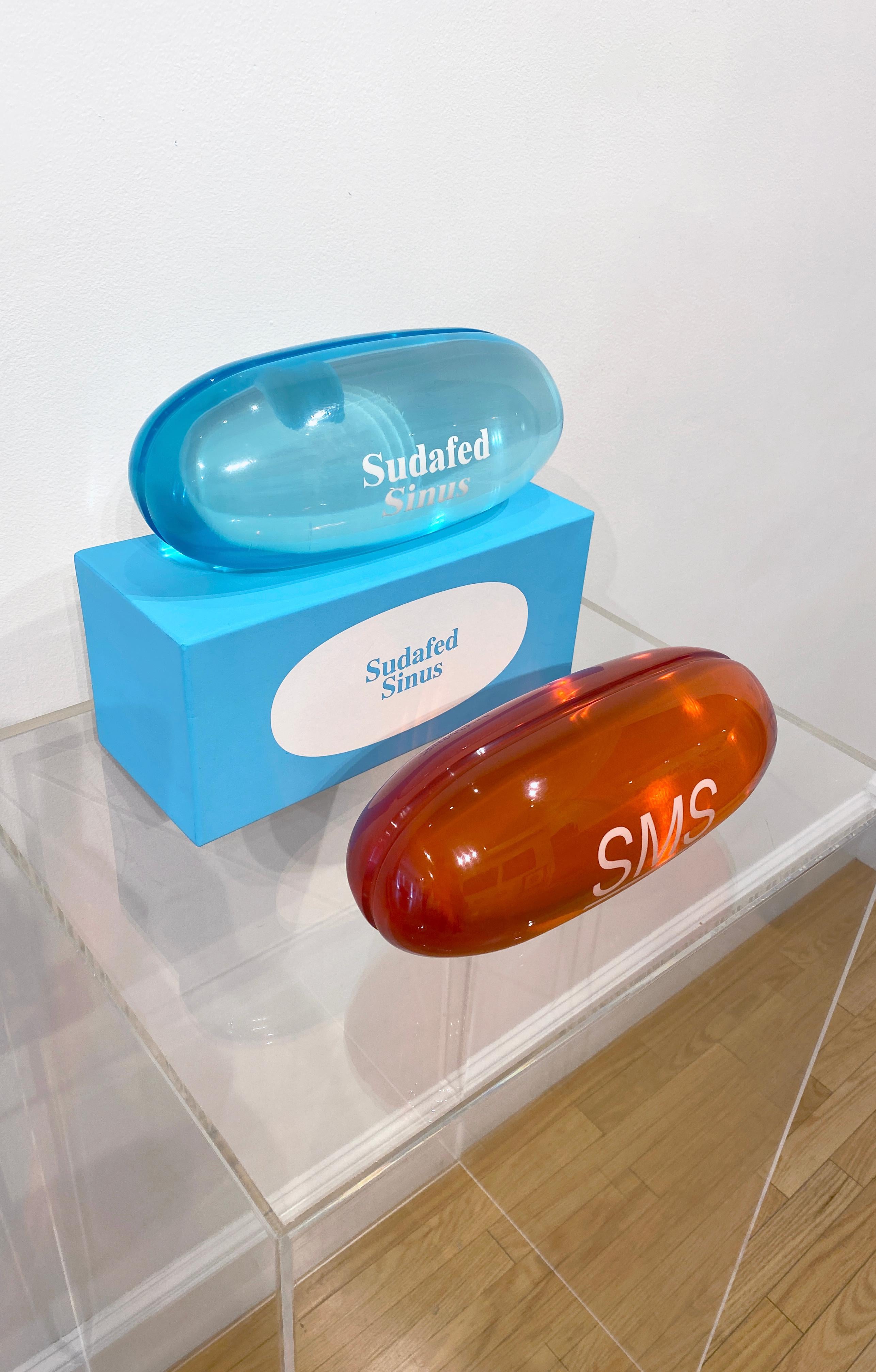 Artist:  Hirst, Damien
Title:  Sudafed PE Sinus 
Series:  Schizophrenogenesis
Date:  2014
Medium:  Polyurethane resin with ink pigment
Unframed Dimensions:  11.81