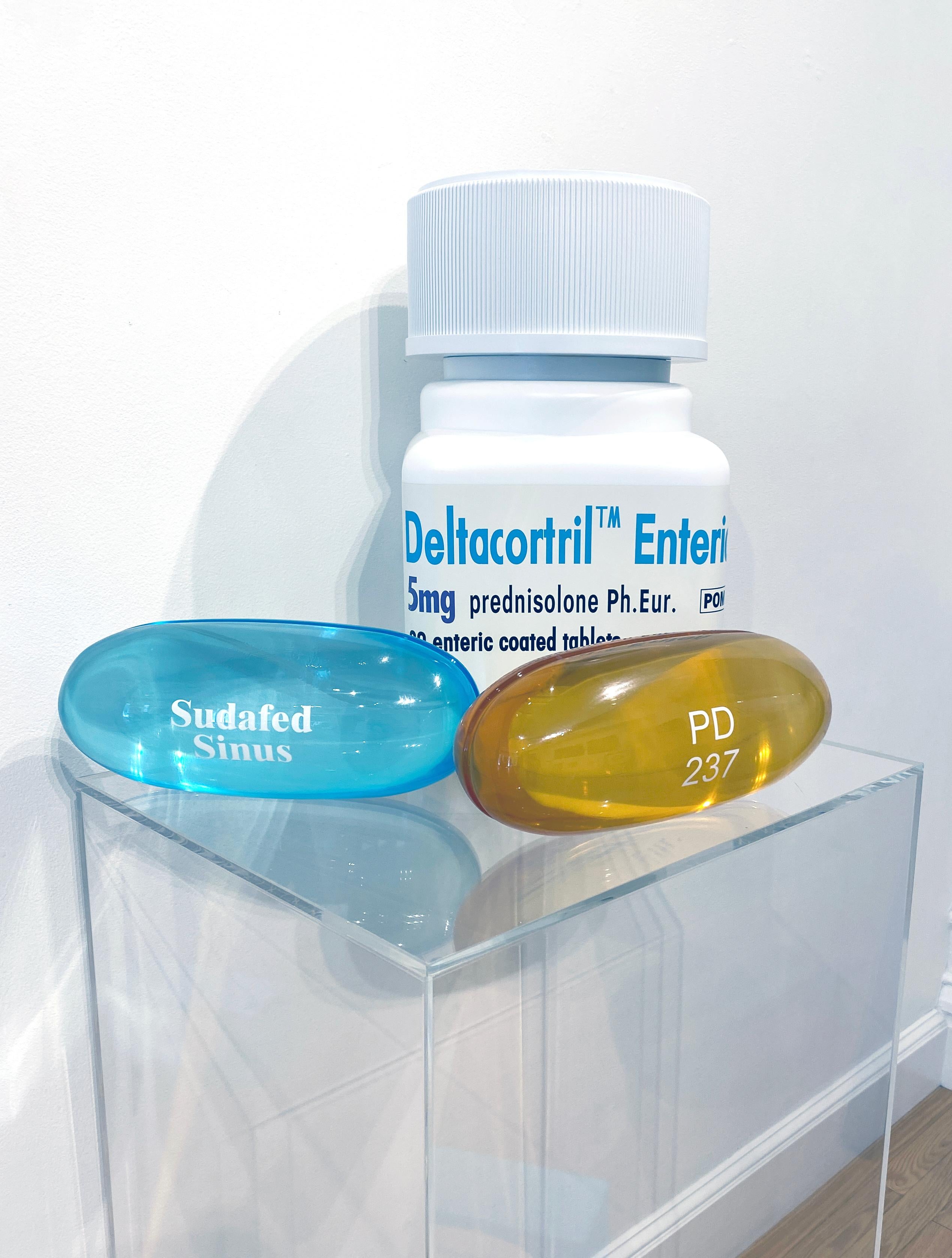 Artist:  Hirst, Damien
Title:  Sudafed PE Sinus 
Series:  Schizophrenogenesis
Date:  2014
Medium:  Polyurethane resin with ink pigment
Unframed Dimensions:  11.81