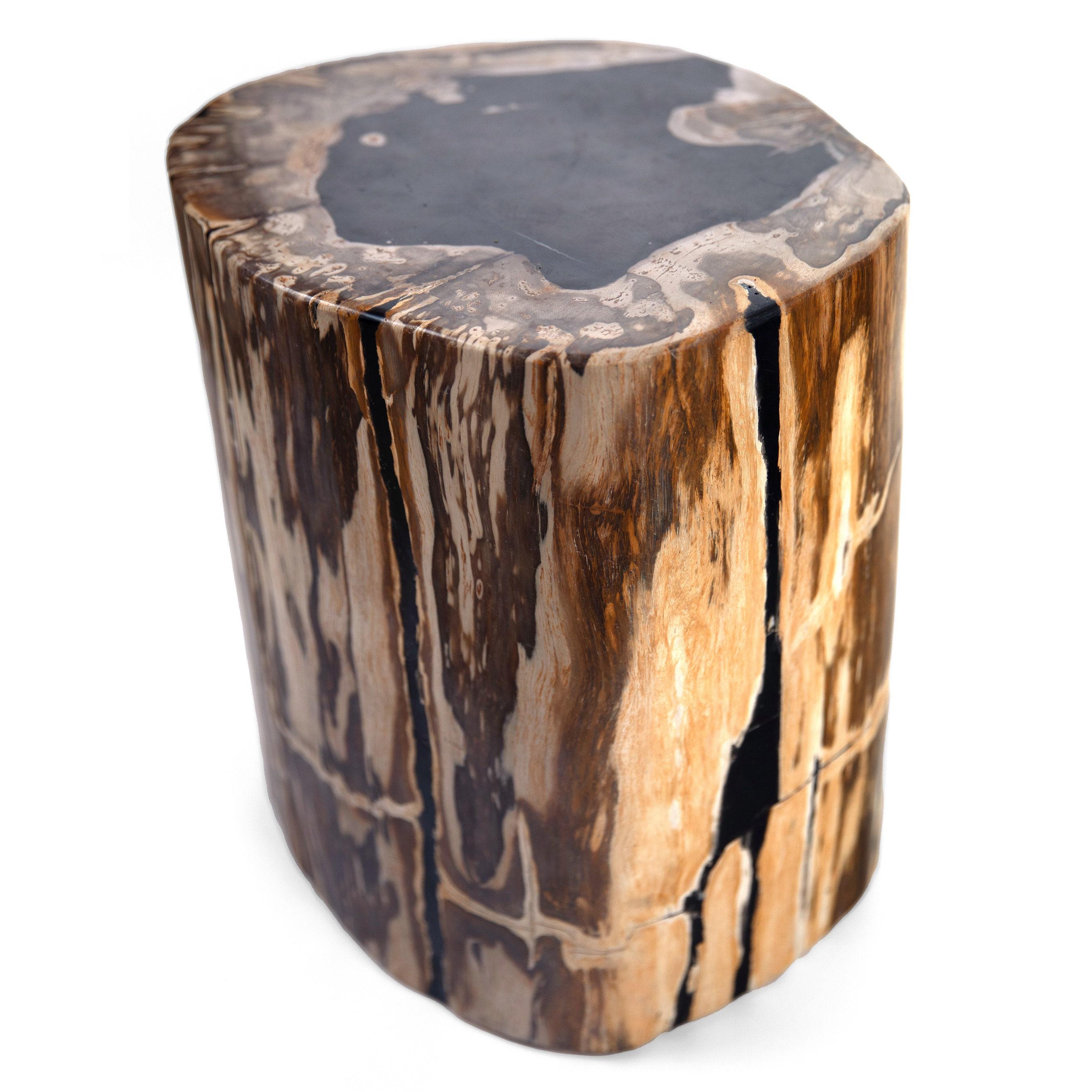 This petrified wood end table blends the beauty of nature with a modern, functional design. The table’s cylindrical shape features a smooth, polished top, while the sides maintain a natural, rustic appearance with a charming texture reflects the