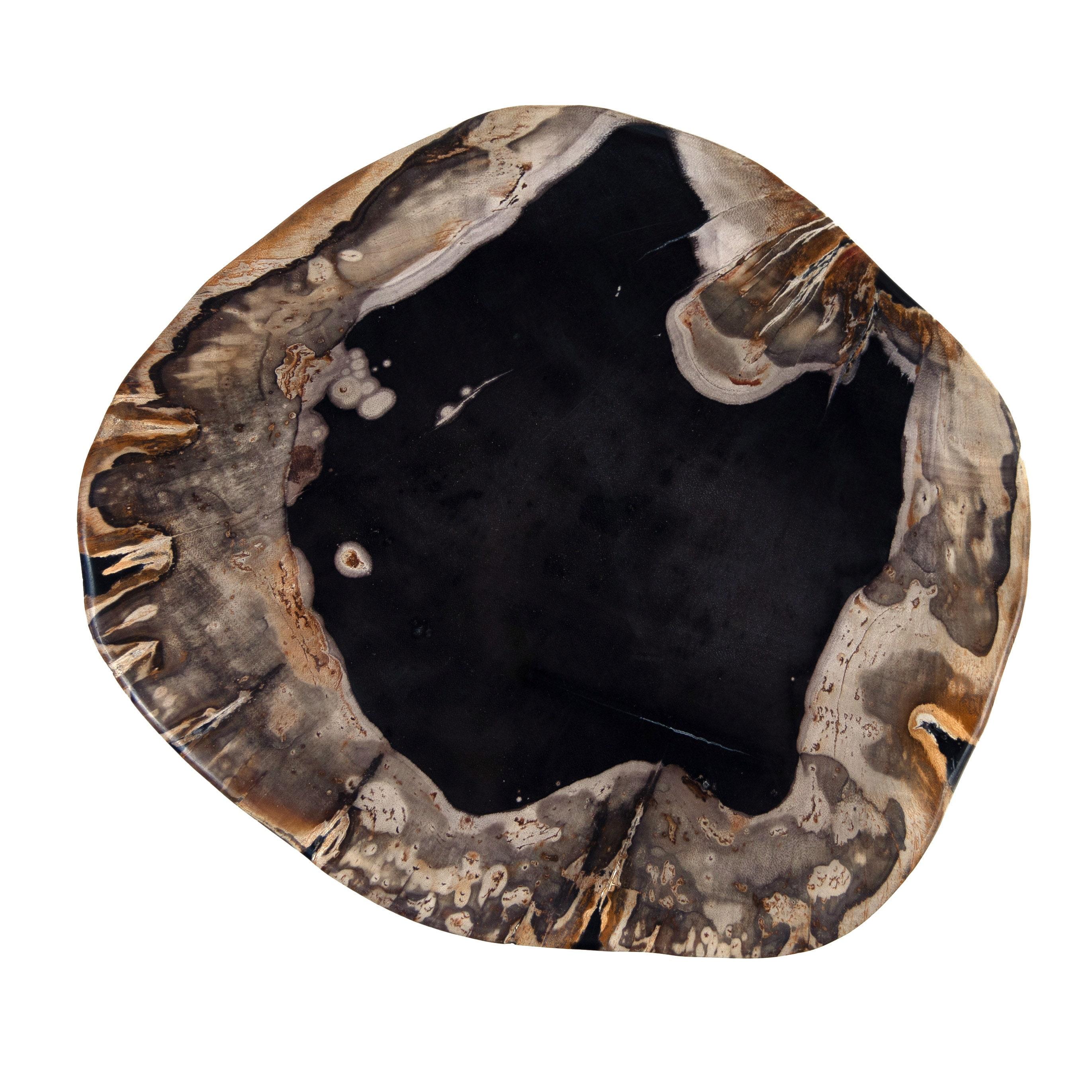 Polished Whiskey Barrel Petrified Wood End Table