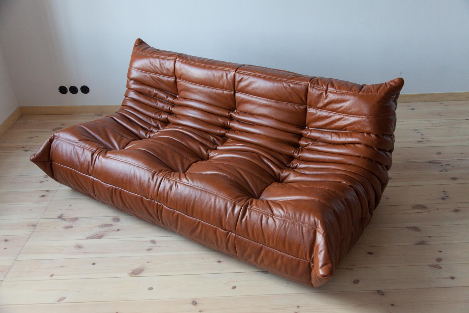 French Whiskey Leather Togo Living Room Set by Michel Ducaroy for Ligne Roset For Sale