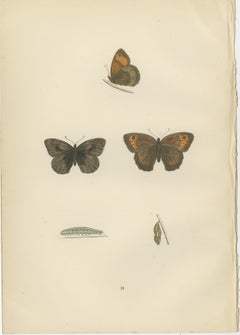 Whispers of Wings: A Butterfly Triptych Collage, 1890