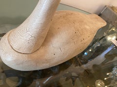 Whistling Swan John Haynes