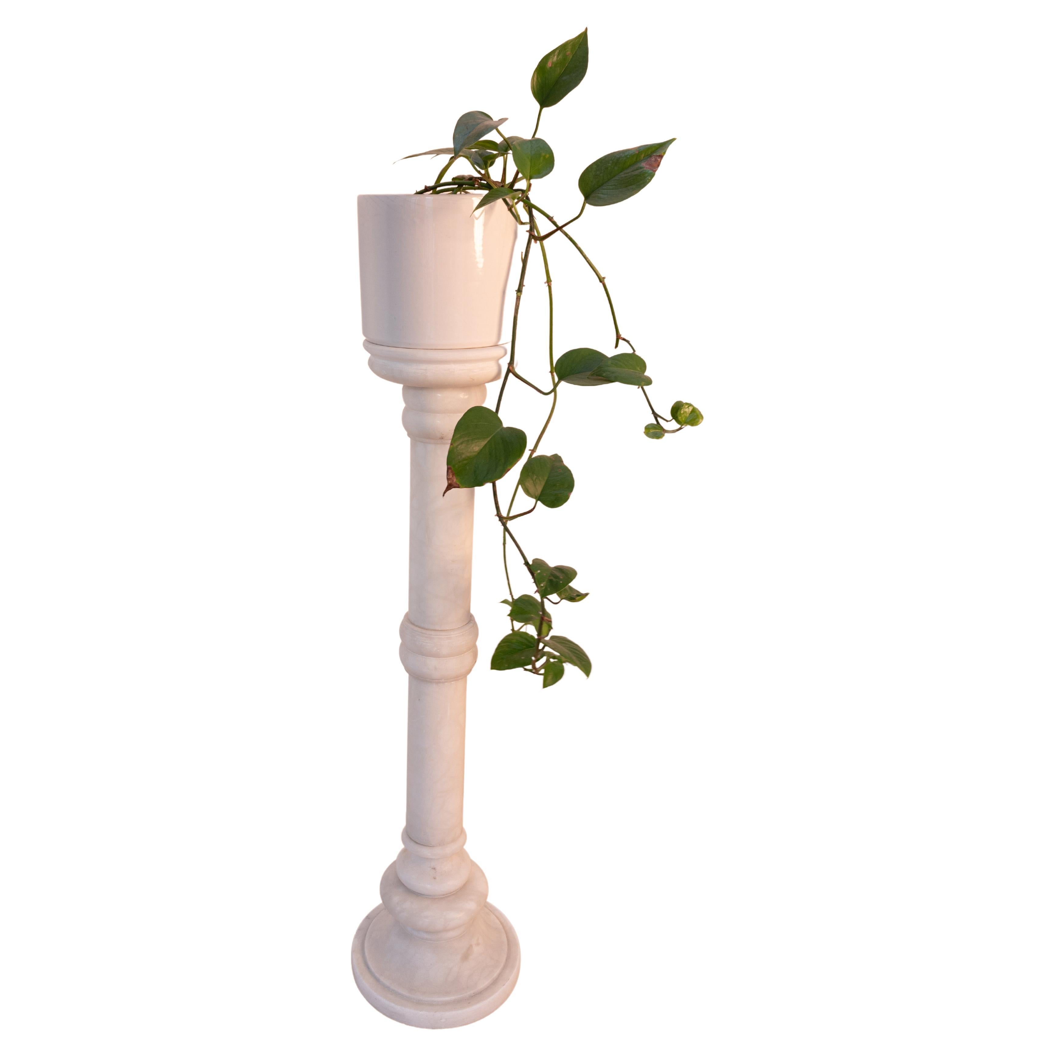 White alabaster columns 