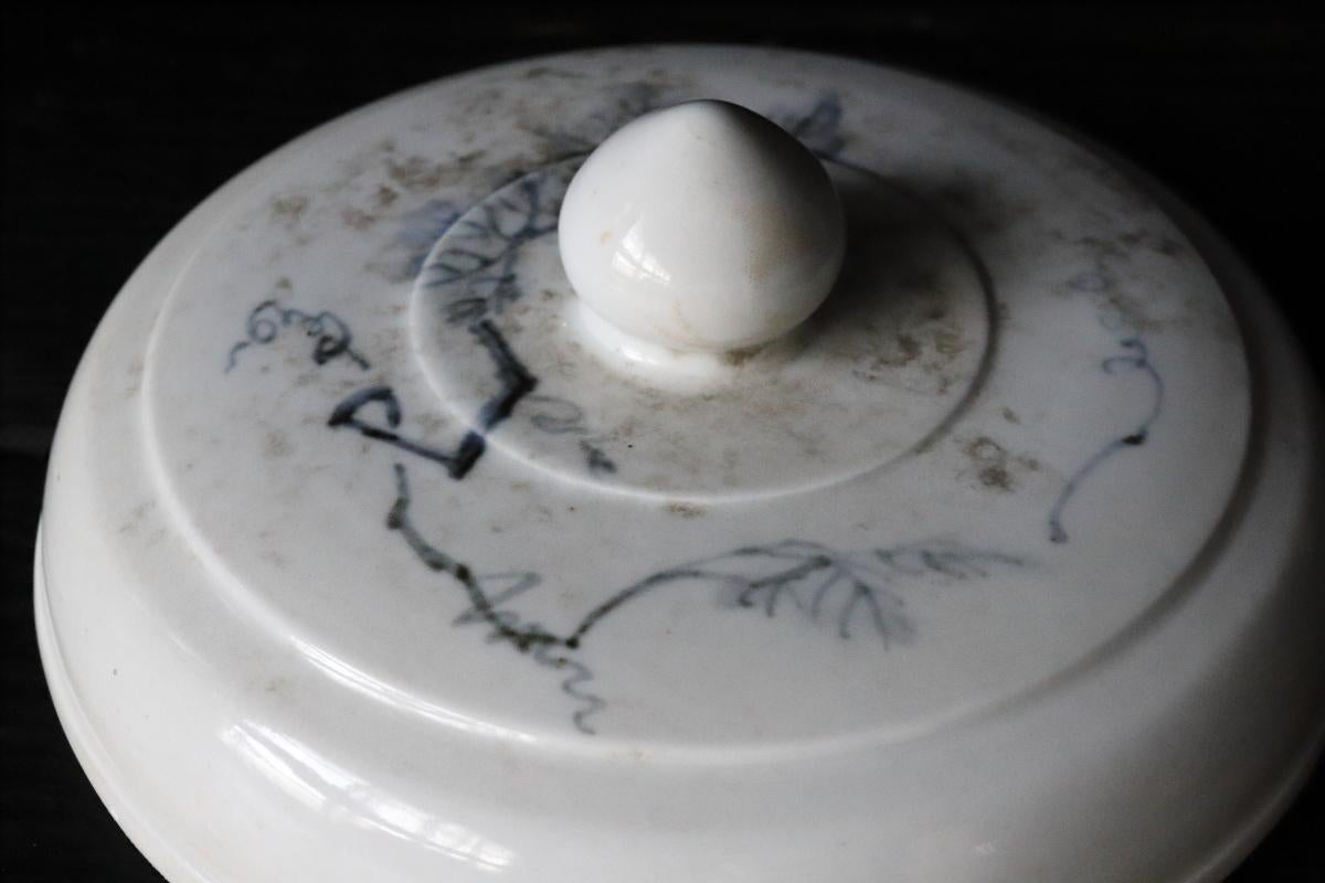 White and Blue Porcelain Vase / 16th Century / Korean Antiques / Joseon Dynasty 10