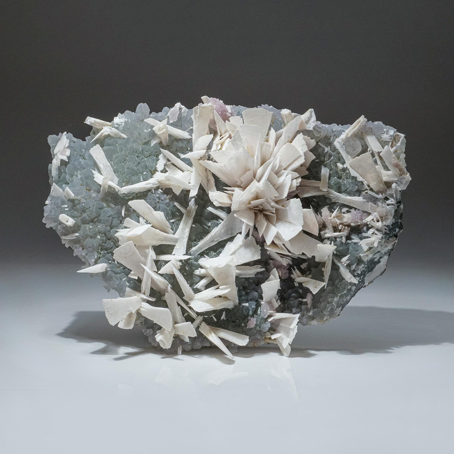 Una combinación muy rara de grandes láminas de cristal de Anhidrato blanco, en formación de flor, dentro de una matriz cristalina de cuarzo. Este ejemplar extremadamente estético, extraído a principios de la década de 2000, fue un hallazgo único en