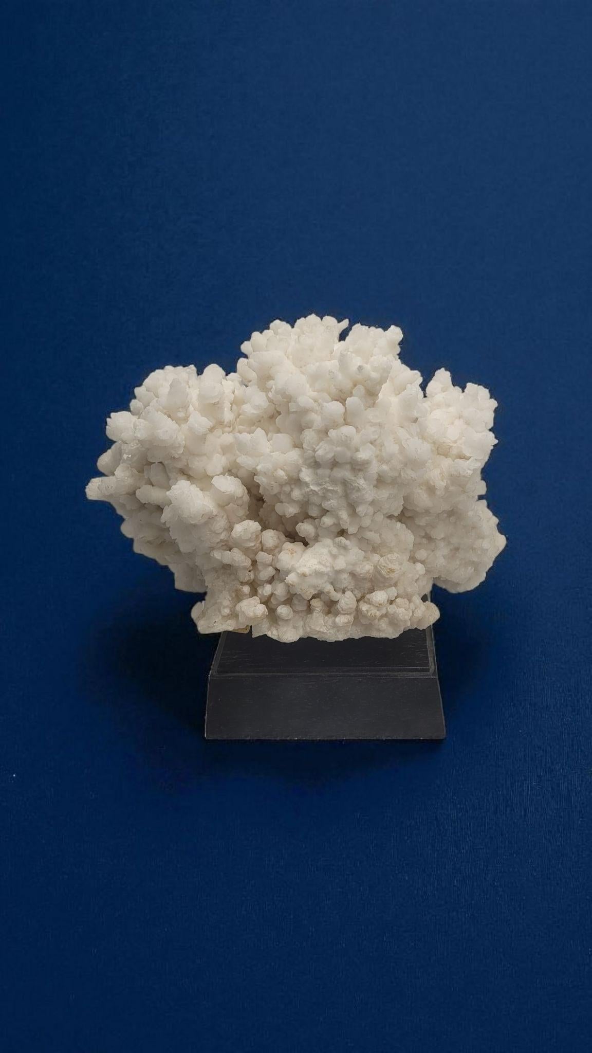 Questo minerale chiamato aragonite bianca proviene da Santa Eulalia (nord del Messico).
Si tratta fondamentalmente di carbonato di calcio (CaCO3) con tracce di piombo (Pb), stronzio (Sr) e zinco (Zn), il che spiega perché è così pesante (questo