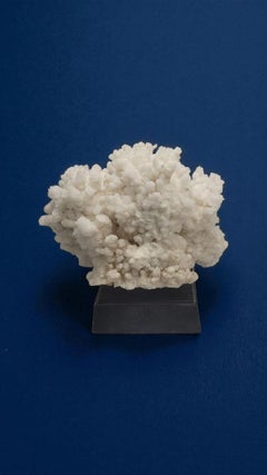 White Aragonite Crystal Aesthetic Piece. On wooden base