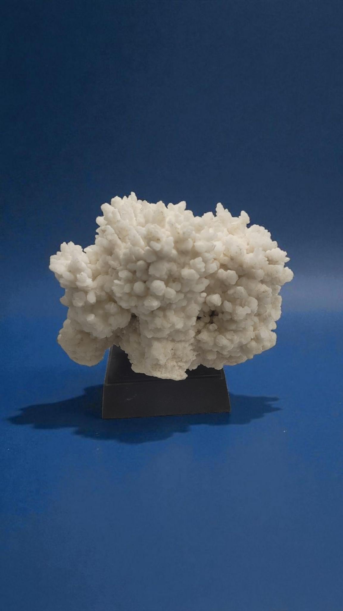 Messicano Aragonite bianca, minerale proveniente dal Messico, su base di legno in vendita