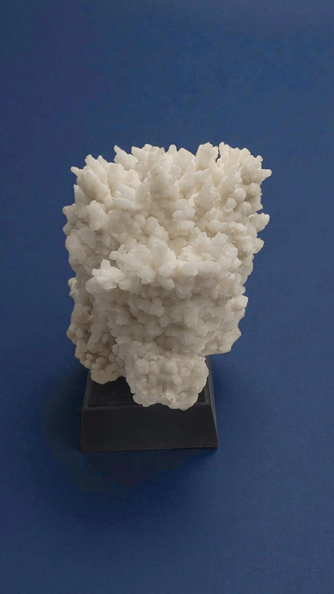 XXI secolo e contemporaneo Aragonite bianca, minerale proveniente dal Messico, su base di legno in vendita