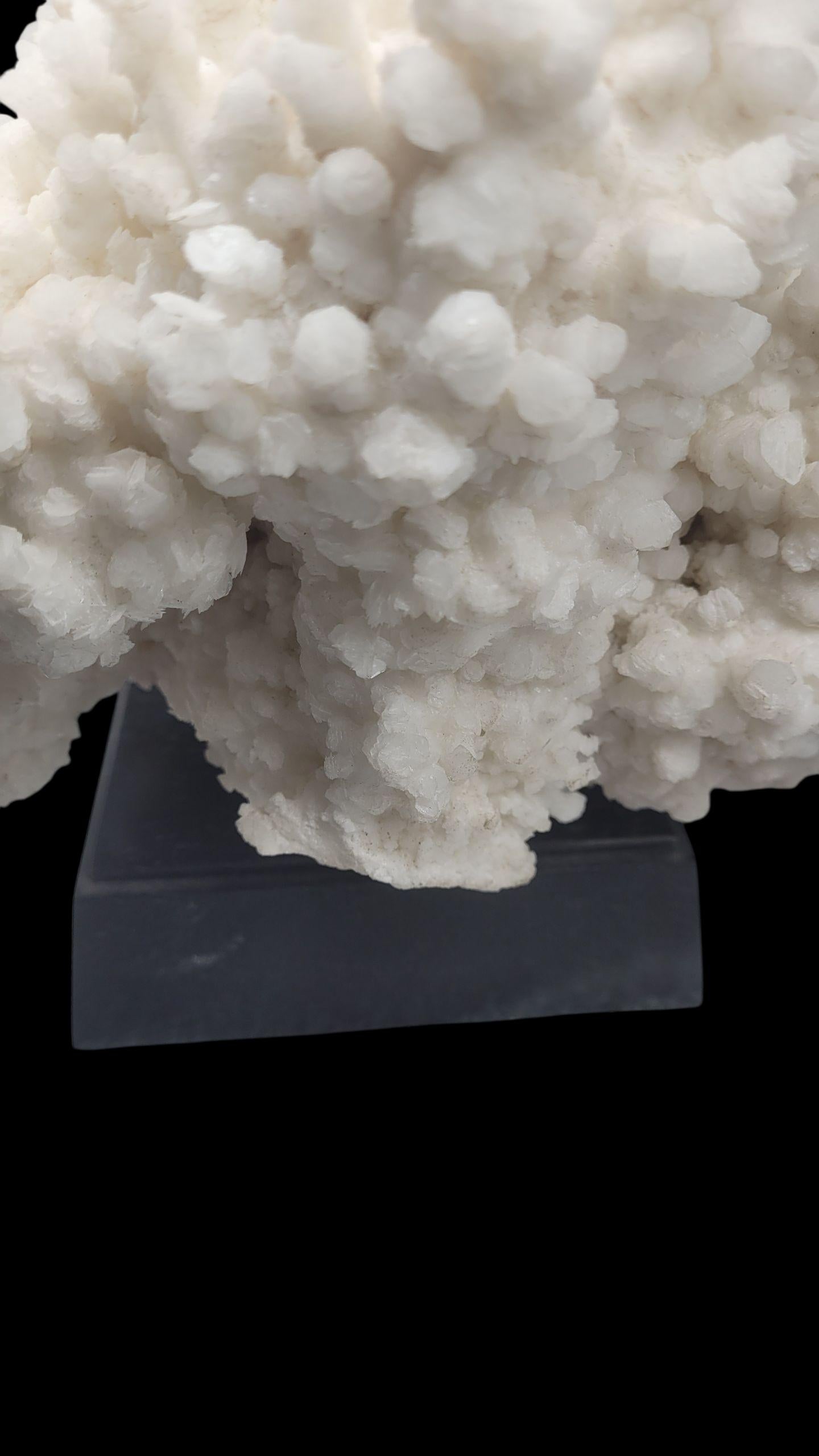 Aragonite bianca, minerale proveniente dal Messico, su base di legno in vendita 2