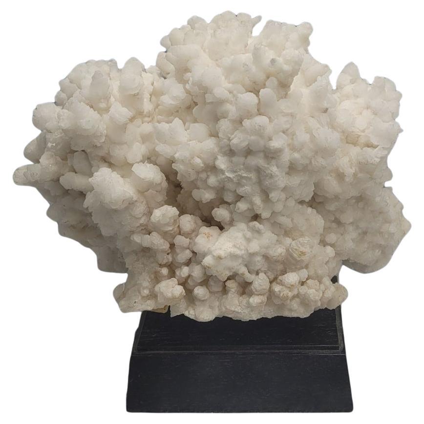 Aragonite bianca, minerale proveniente dal Messico, su base di legno