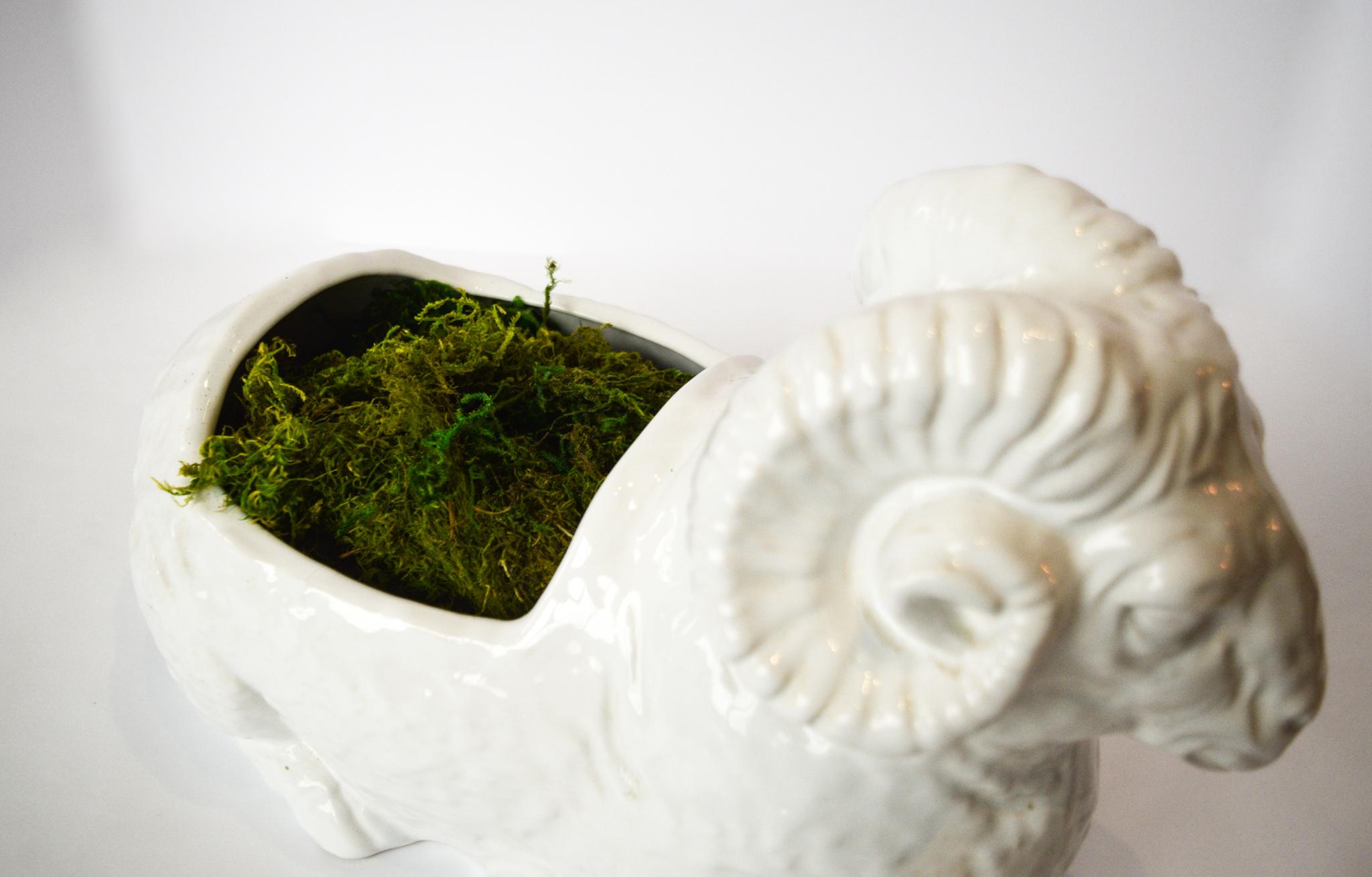 Pure white ceramic Bellini ram statuette from Italy. Can be used as a planter or as a holder for decorative objects. Makes.