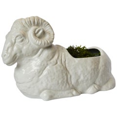 White Bellini Ceramic Ram