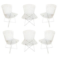 Vintage White Bertoia Steel Wire Side Chair With "X" Base by Knoll, Set of 6
