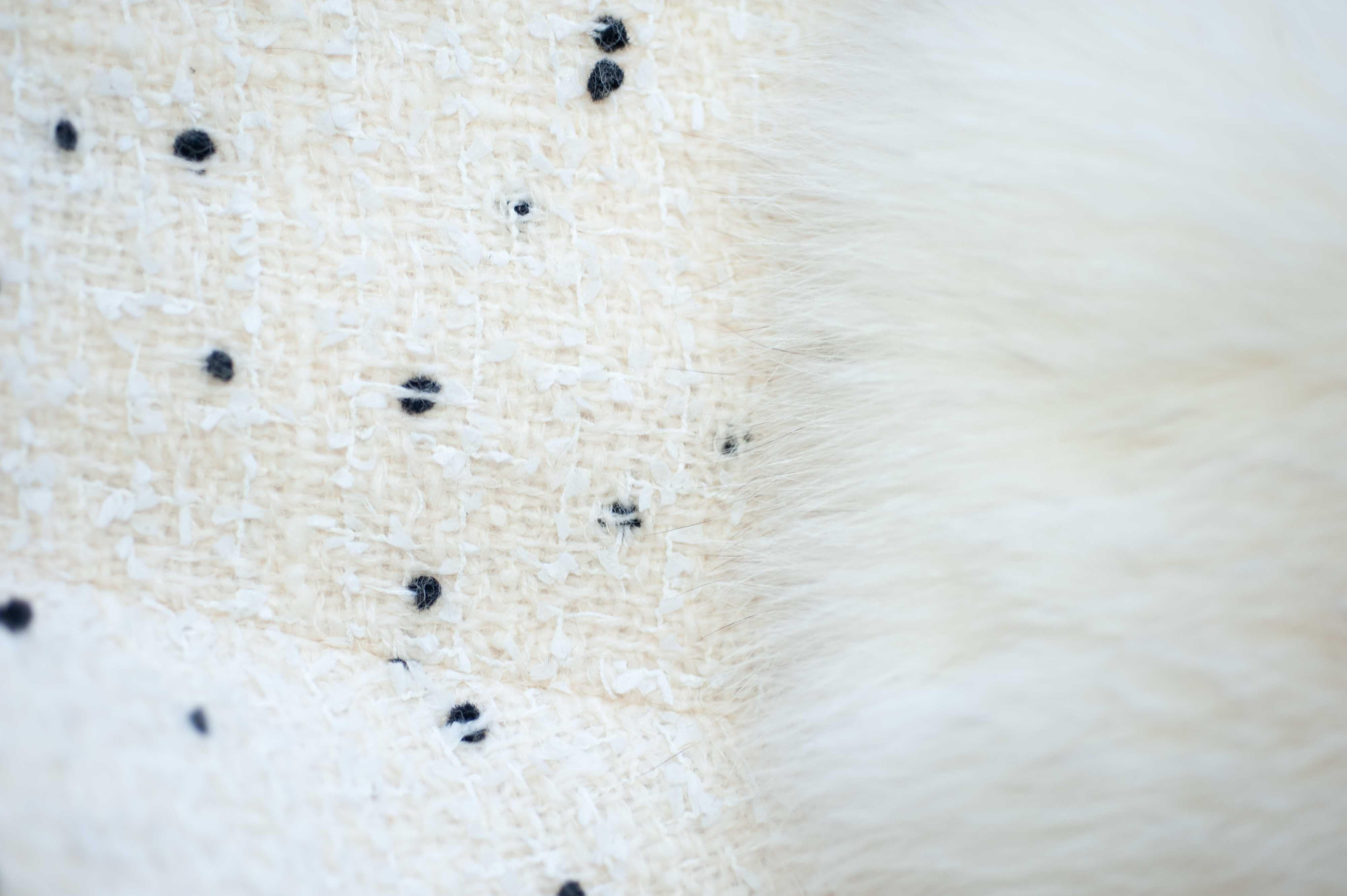 White & Black Dot Coat with Fox Fur Trim, Paris 3
