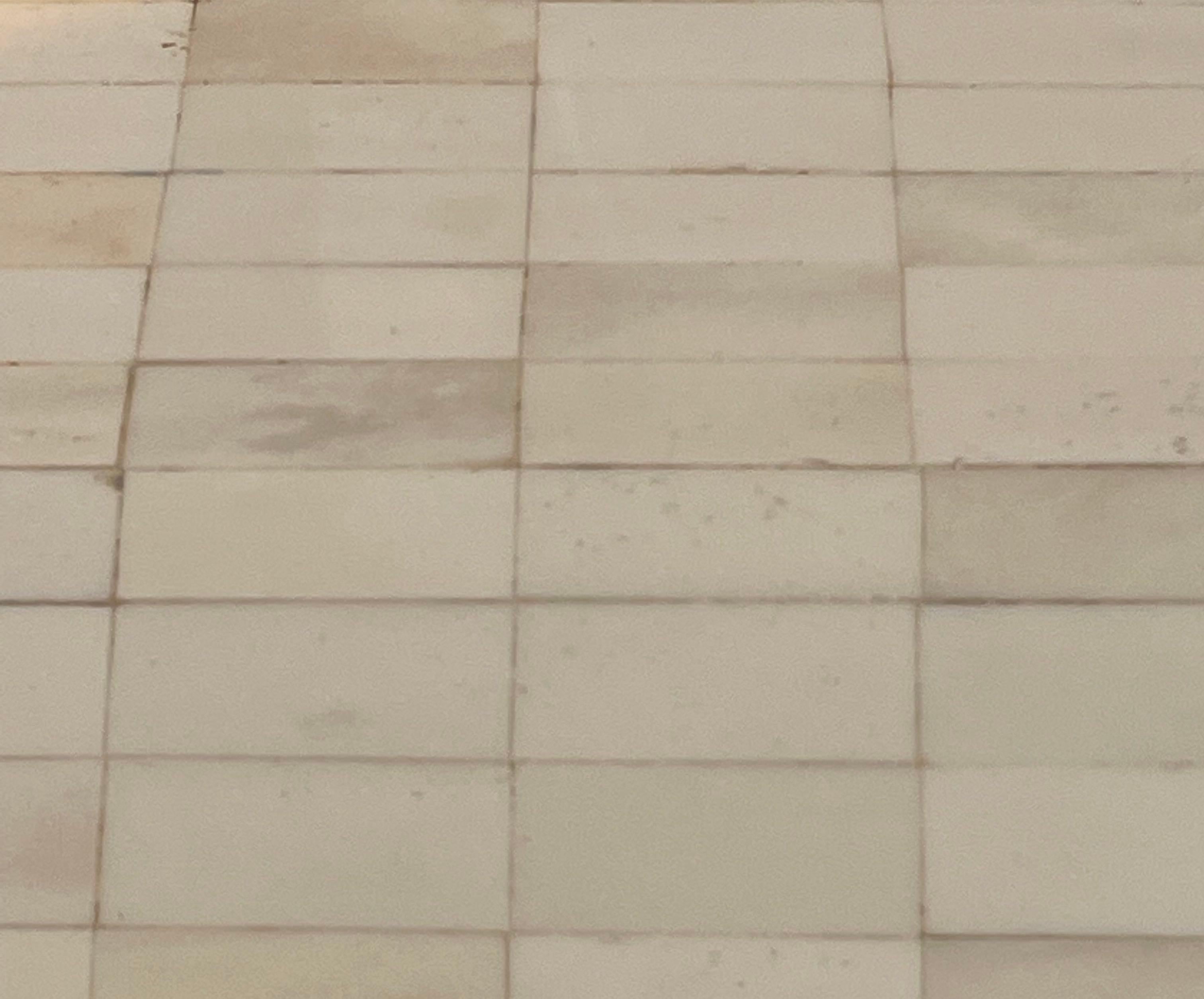 Caja de hueso blanco, India, Contemporáneo en Nuevo estado para la venta en New York, NY