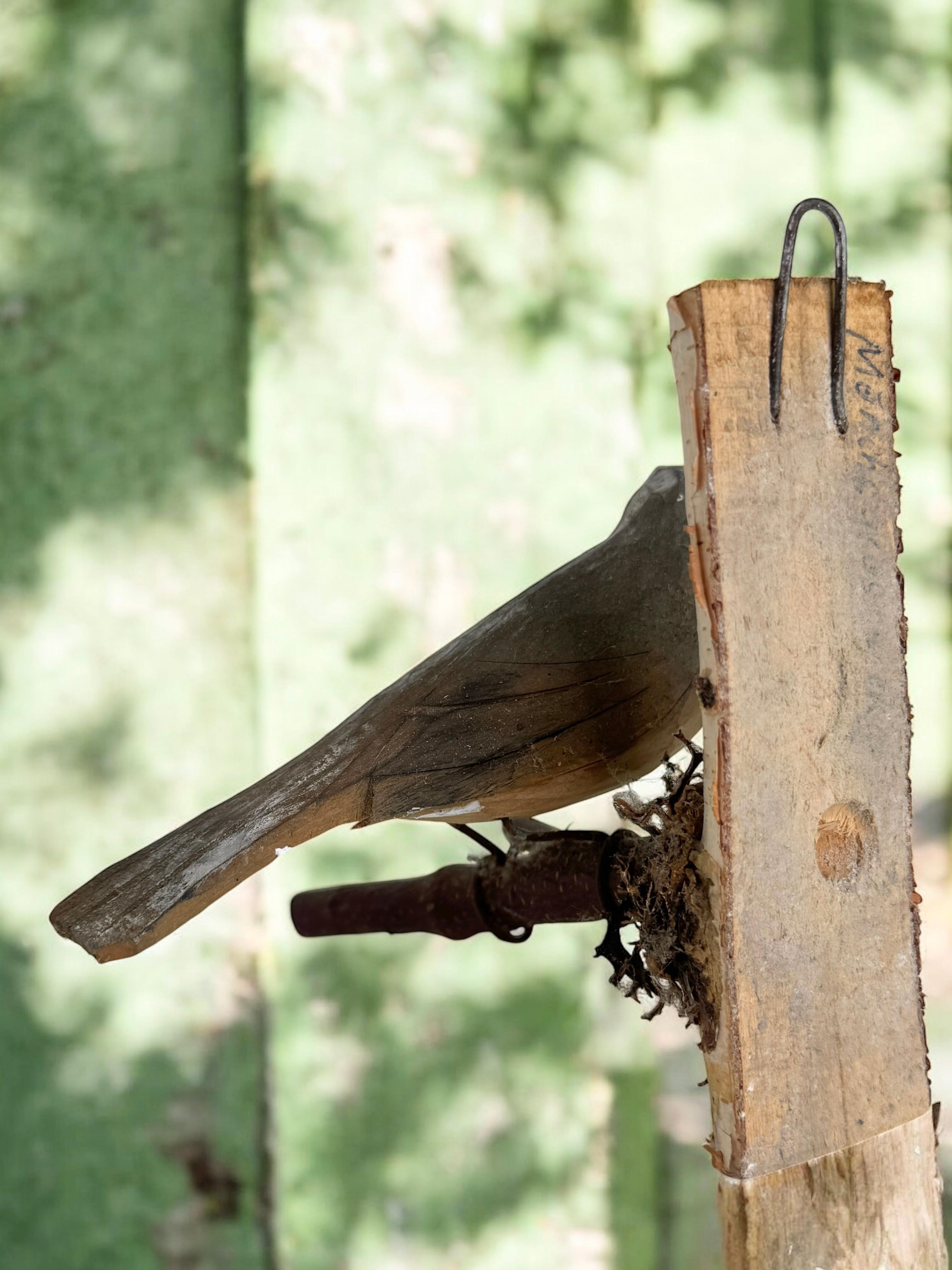 Sittelle à poitrine blanche Viechtauer Oiseau en bois sculpté Black Forest Autriche années 1920 en vente 4