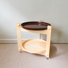 White & Brown Luigi Massoni Italian Mid-Century Trolley Bar for Guzzini, 1970s