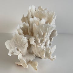White Cactus Coral
