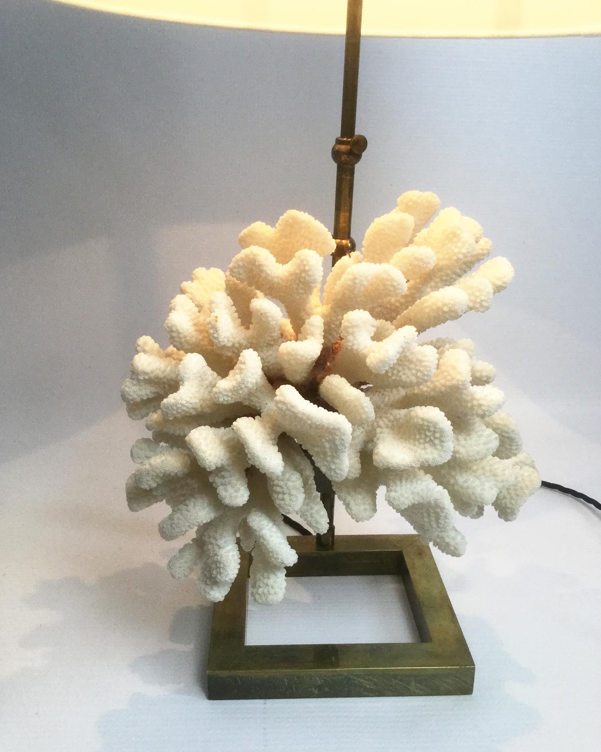 Belgian White Coral and Brass Table Lamp in a Style of Willy Daro, 1970s