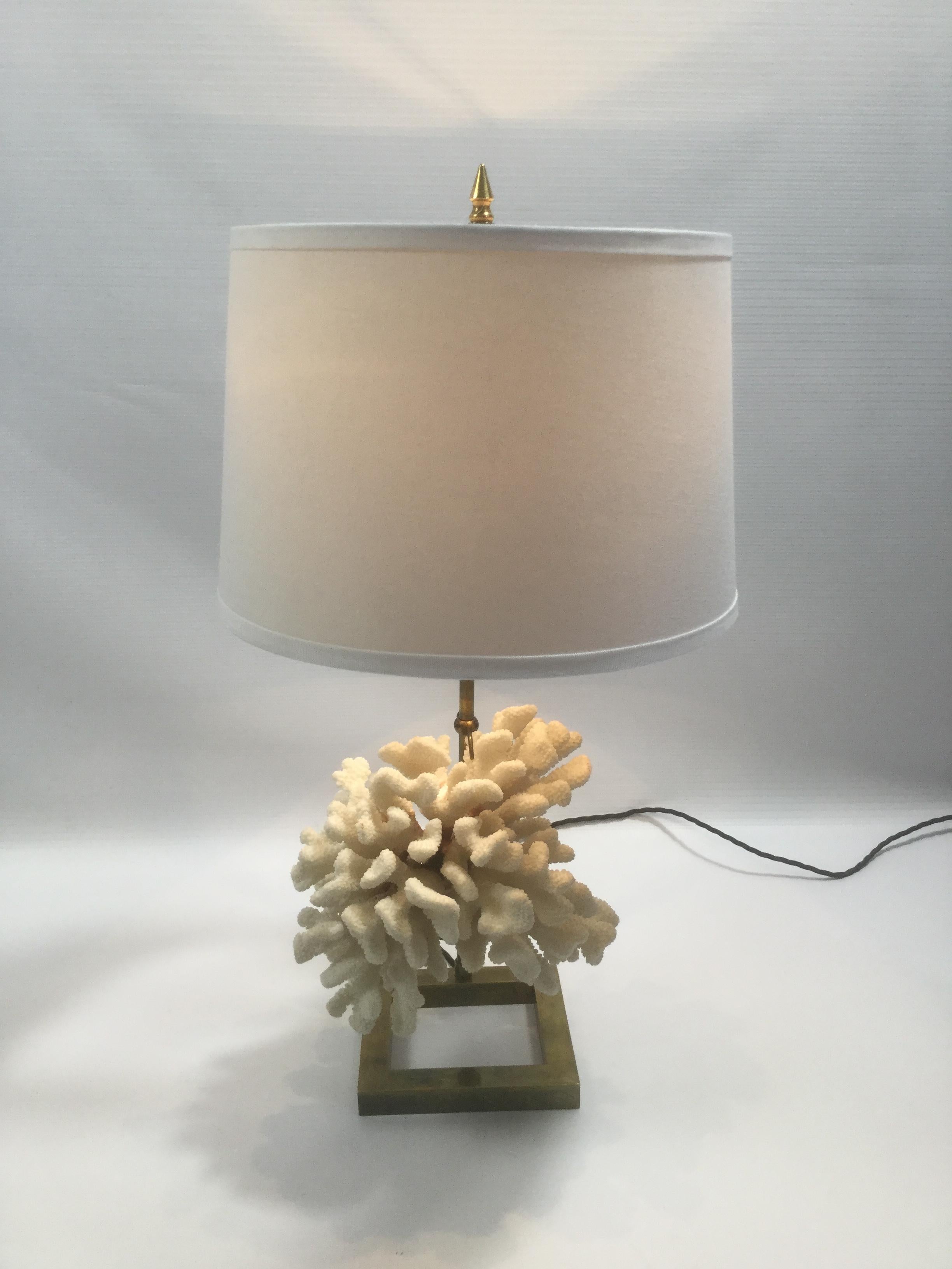 Metalwork White Coral and Brass Table Lamp in a Style of Willy Daro, 1970s