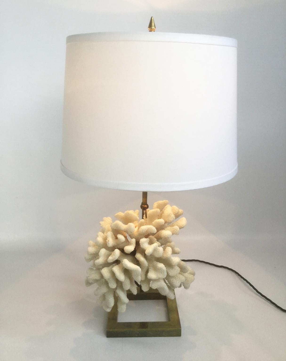 White Coral and Brass Table Lamp in a Style of Willy Daro, 1970s 1
