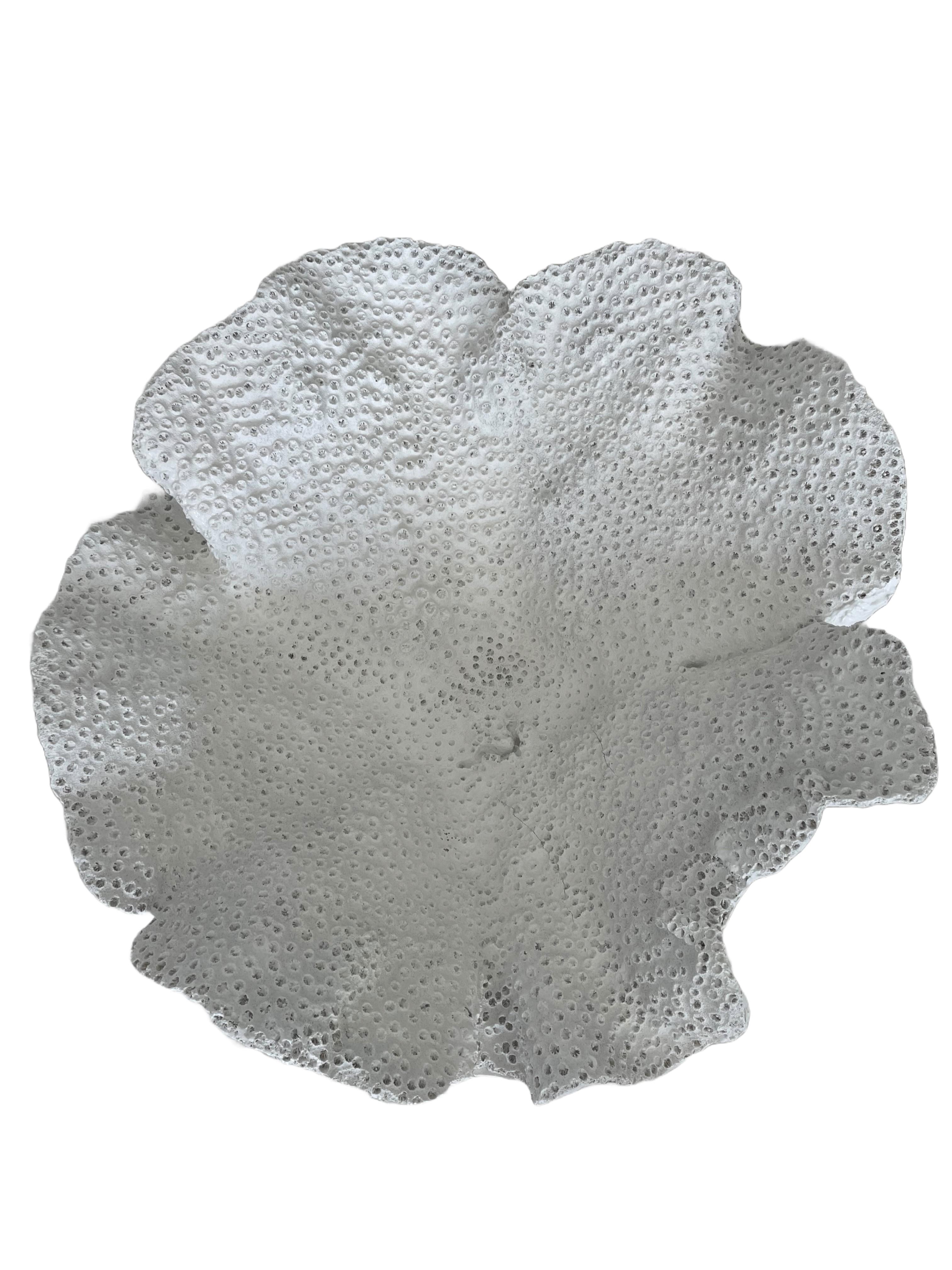 Bring a coastal vibe into your home with this modern eclectic accent piece in white resin. This large-format coral motif bowl is perfect for a tropical flower or fruit center piece.