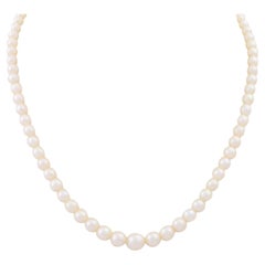 Collana di perle coltivate bianche