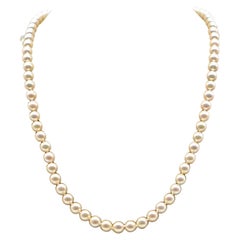 White Cultured Pearls Necklace
