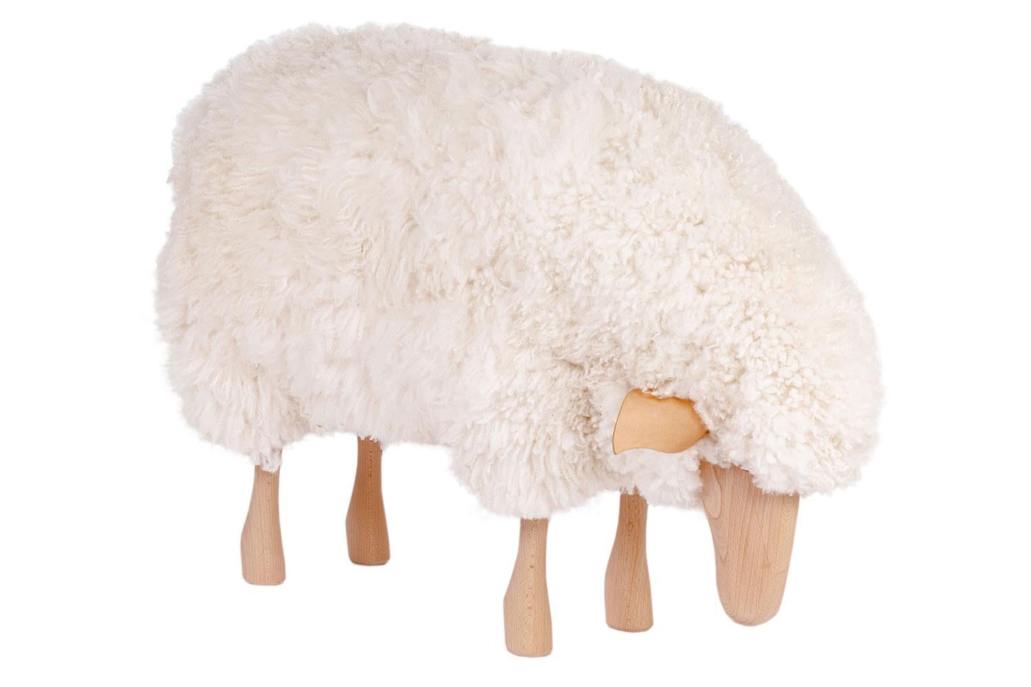 sheep with curly wool