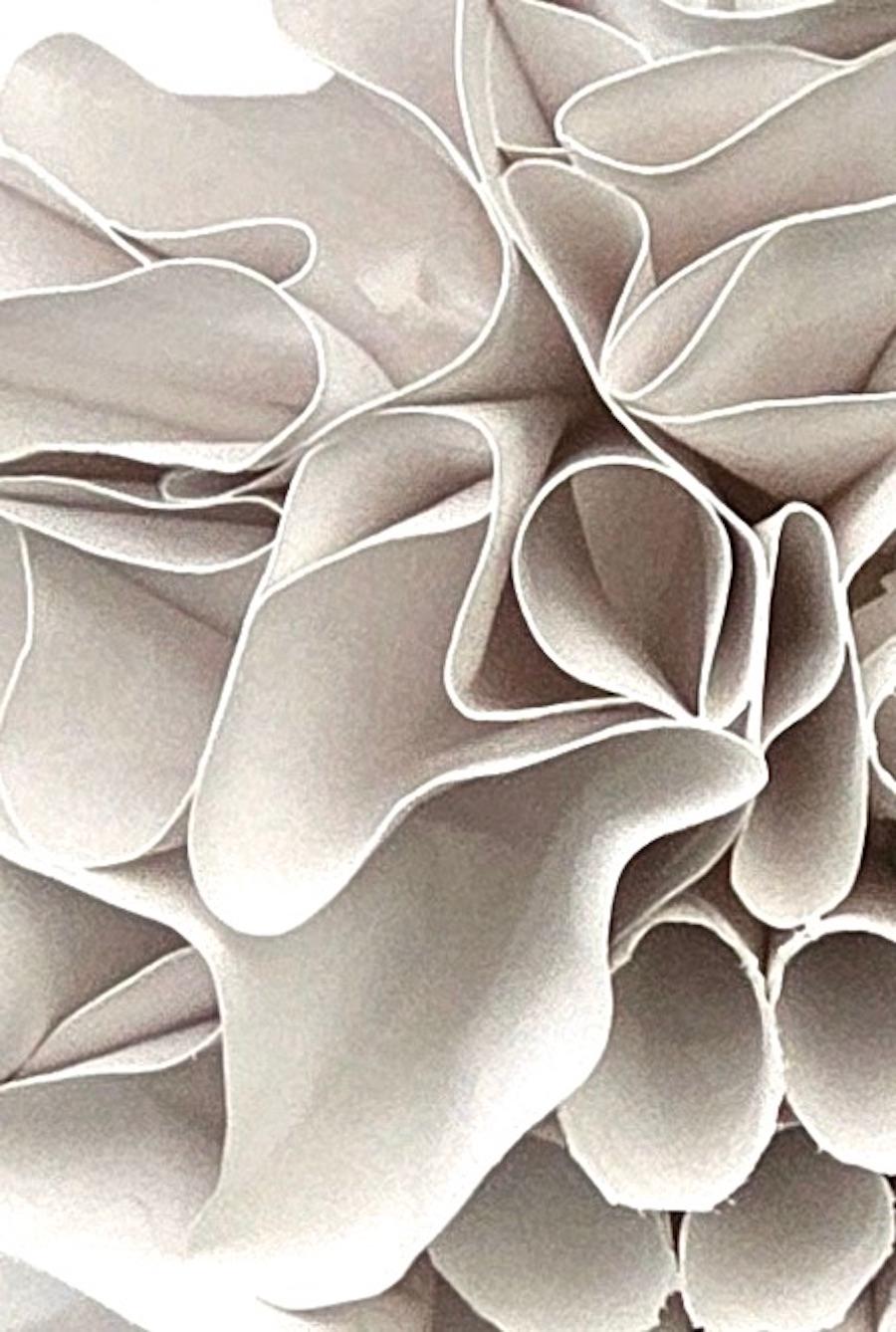 Contemporary French artist Veronique Guillou framed hand cut paper sculpture.
Paper is cut, painted and sprayed to remain in a three dimensional abstract shape.
White wood frame.
