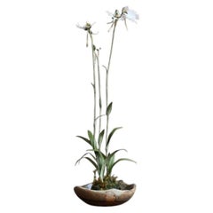 White egret flower by Yumiko Kuwahata / Bonsai / wabi-sabi